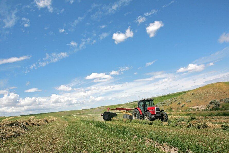 red tractor on a green field with blue skies